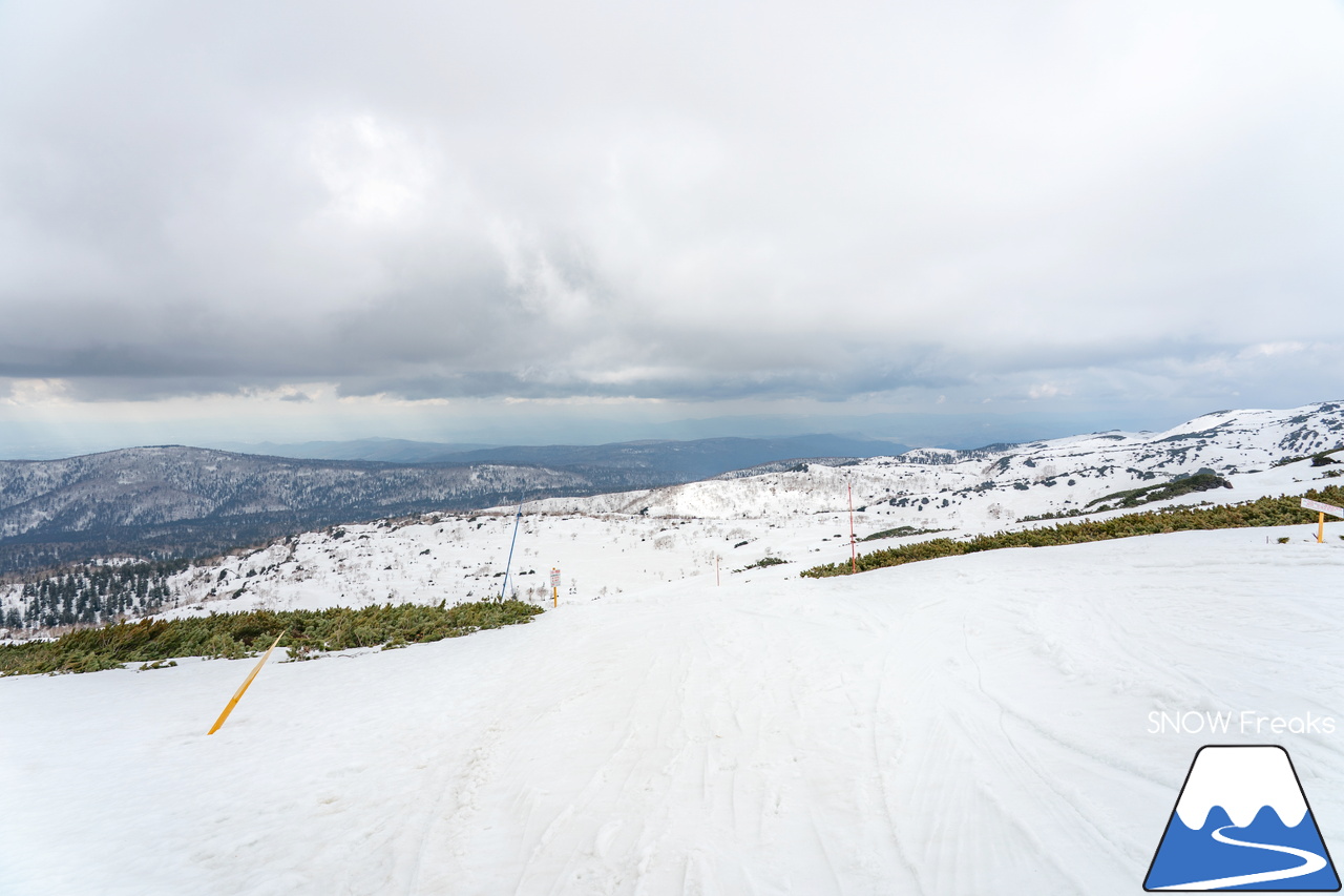 大雪山旭岳ロープウェイ｜北海道最高峰「旭岳」で、ひと足先に滑り納め…。2024-2025シーズンも SNOW Freaks をご覧くださり、どうもありがとうございました！